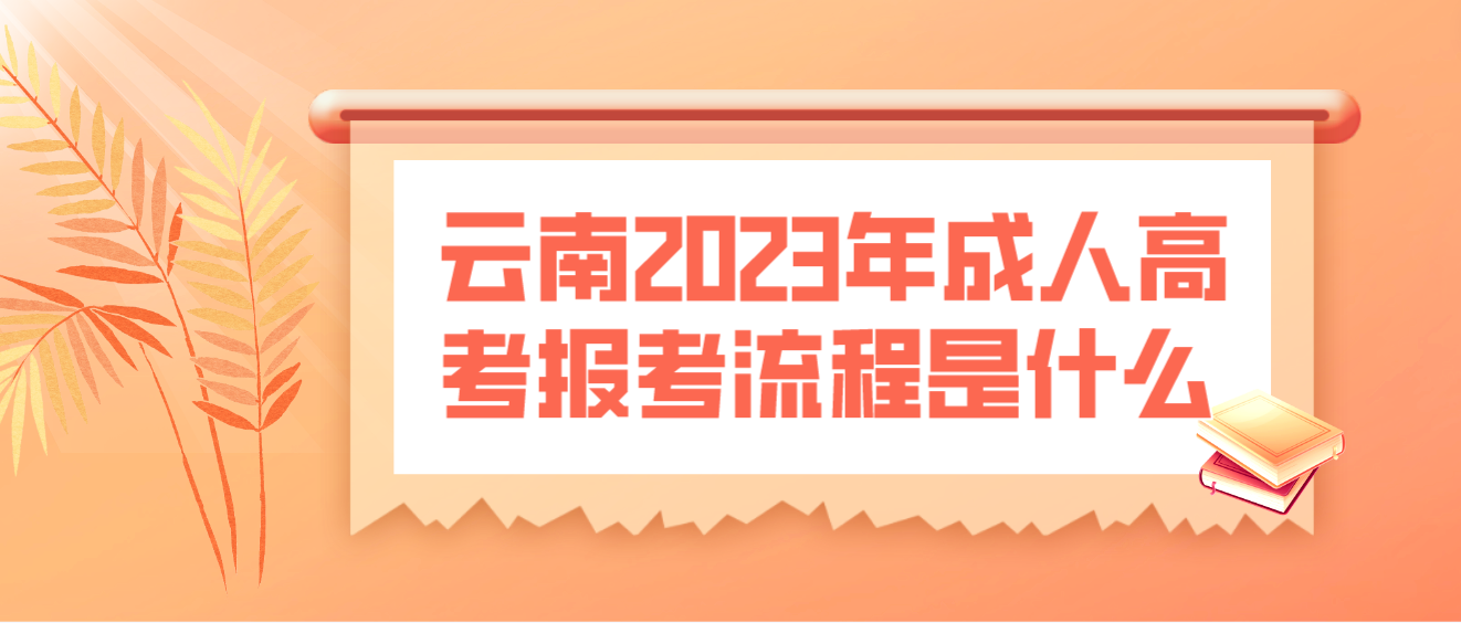 云南2023年楚雄成人高考報考流程是什么？
